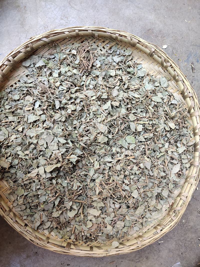 云南野生中药材金钱草大叶金钱草广金钱草过路黄