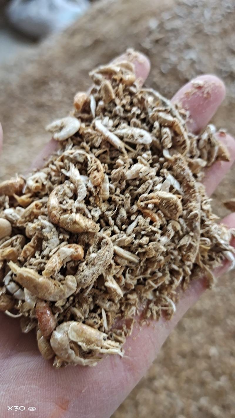 蛋鸡蛋鸭猪饲料虾腿虾头下角料熟的干度好自家加工一手货源