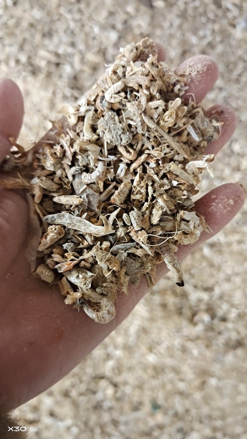 蛋鸡蛋鸭猪饲料虾腿虾头下角料熟的干度好自家加工一手货源