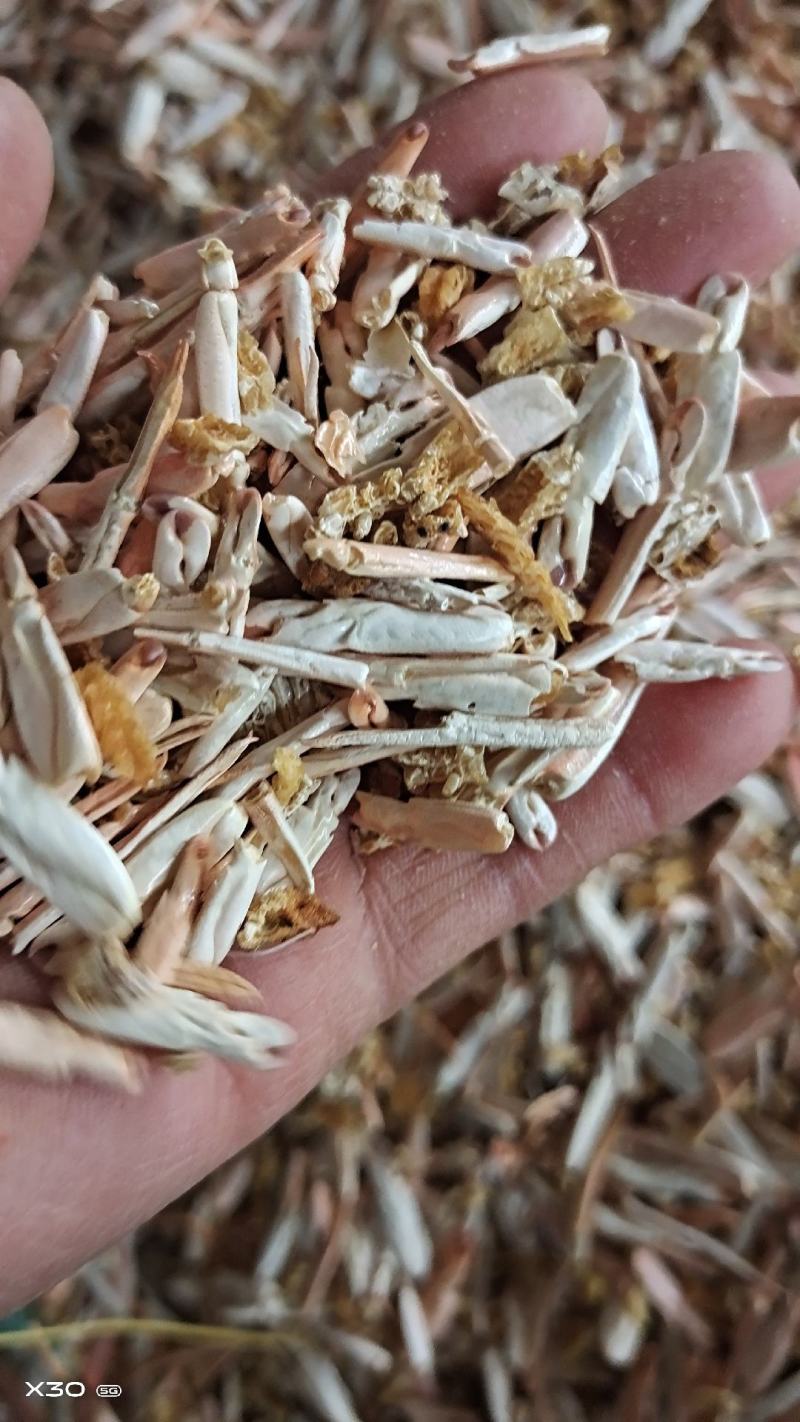 蛋鸡蛋鸭猪饲料虾腿虾头下角料熟的干度好自家加工一手货源