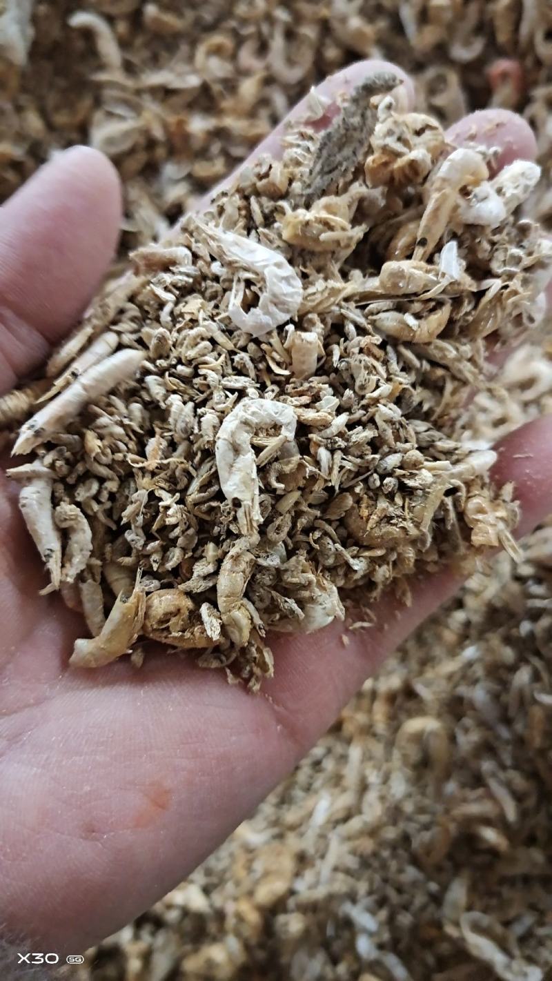 蛋鸡蛋鸭猪饲料虾腿虾头下角料熟的干度好自家加工一手货源