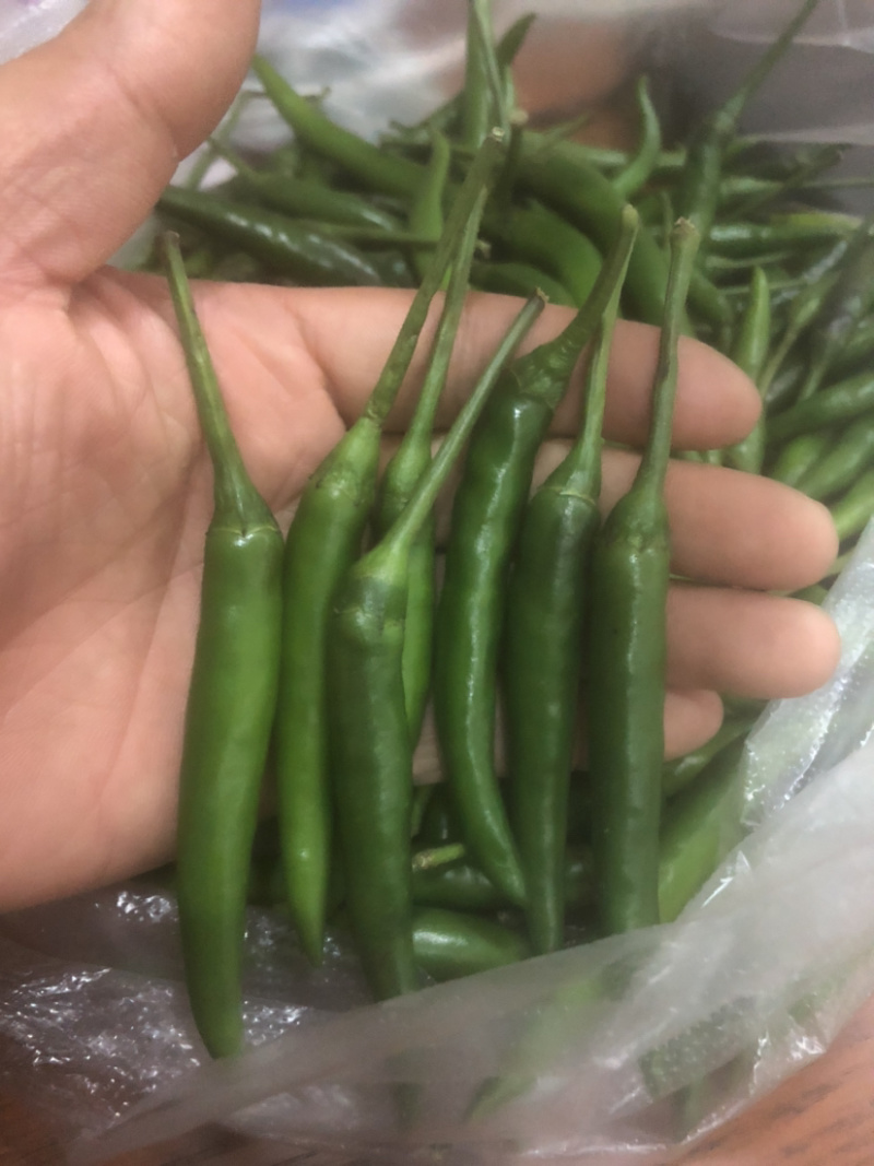 青米椒