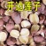 微山湖开边莲子粉糯易煮去芯莲子半开半边莲子干货超值包邮