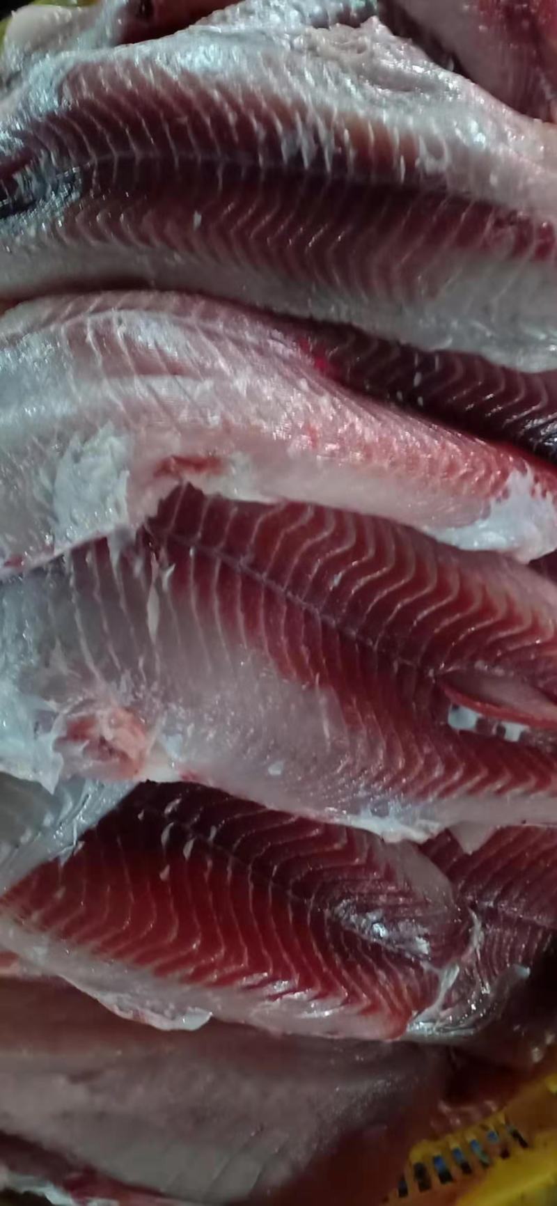 长期供应新鲜麦鲮鱼肉，质量保证，一手货源，欢迎咨询选购