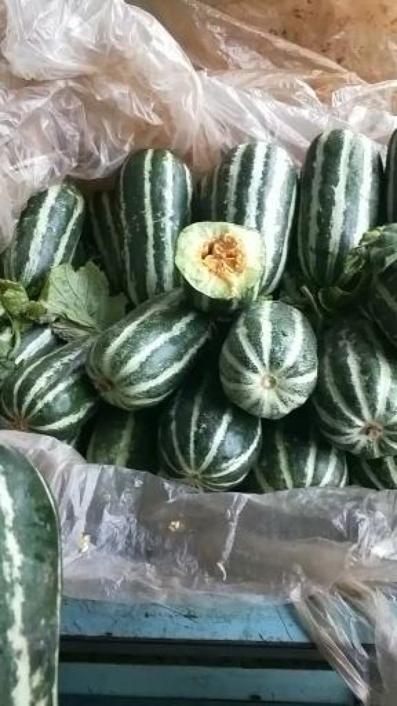 大量供应各种甜瓜