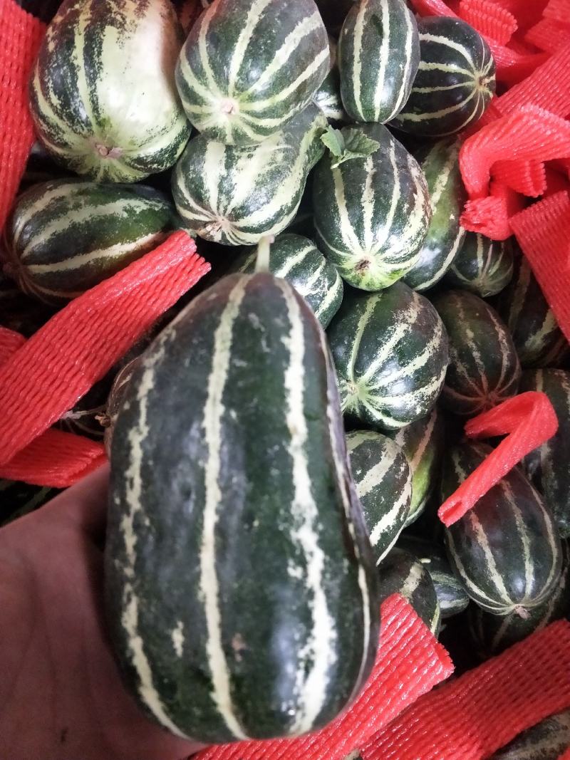 大量供应各种甜瓜