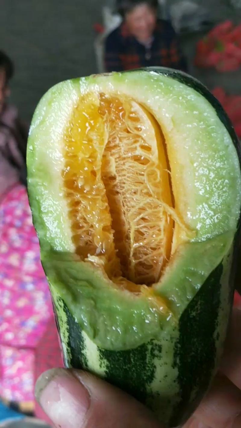 大量供应各种甜瓜