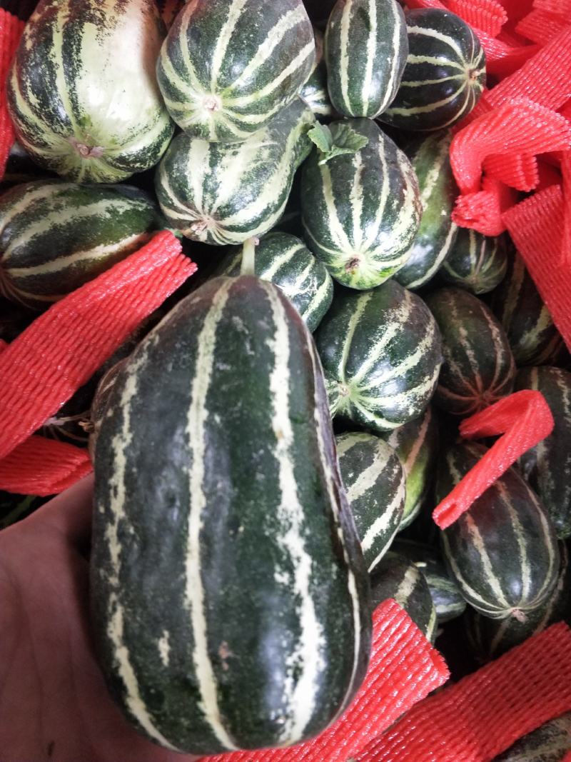 大量供应各种甜瓜