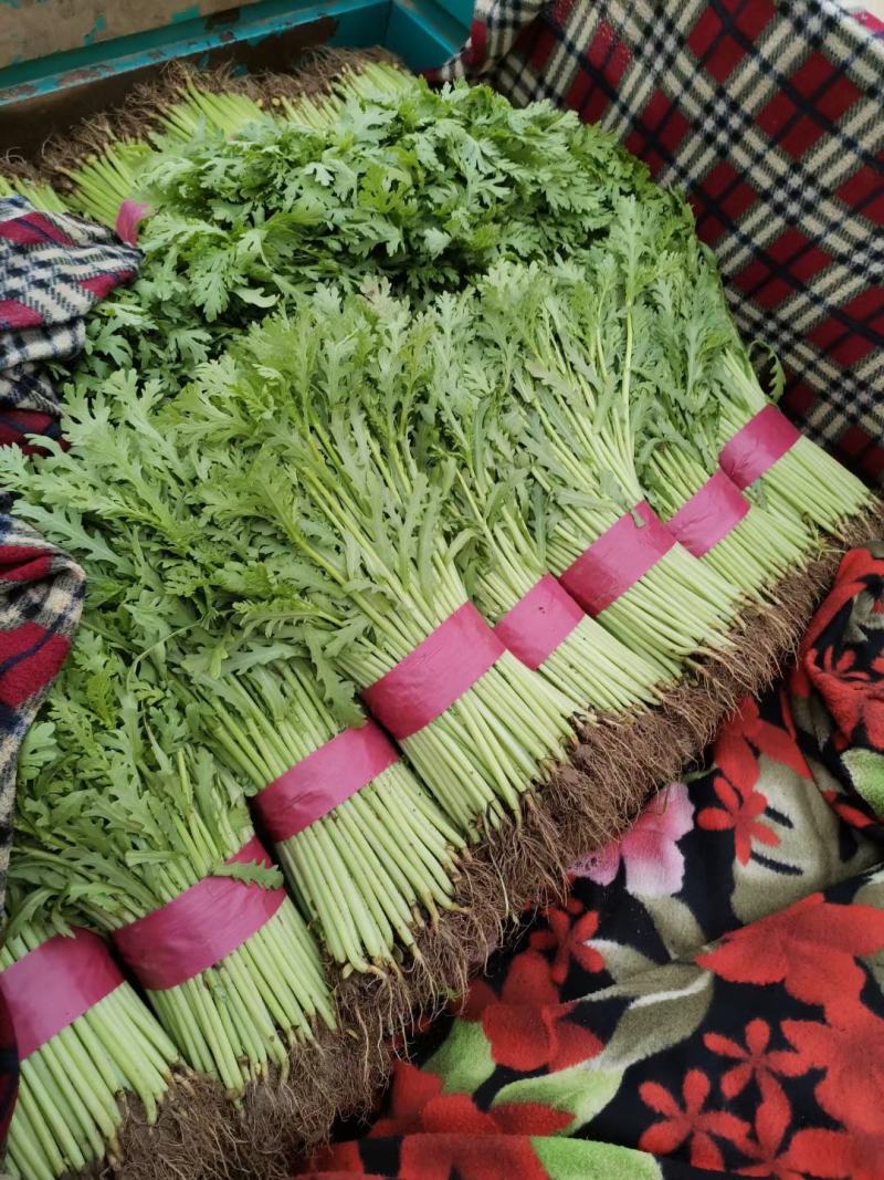 茼蒿，精品蒿子秆量大质优！茼蒿，大量有货！