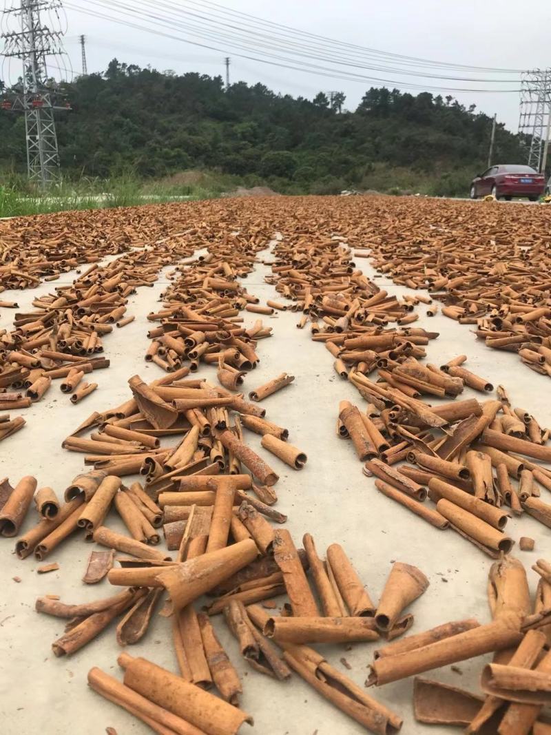 烟桂桂皮肉桂粉卤肉香料调料大全另售八角香叶花椒