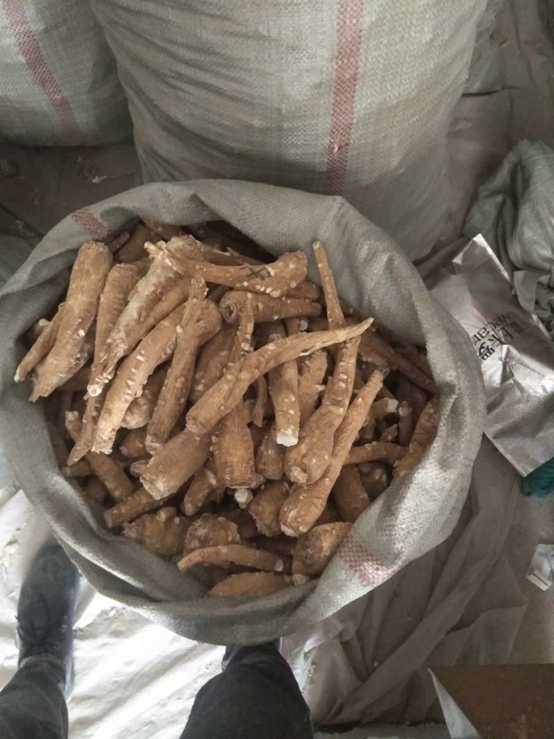 白芷白芷粉白芷个子白芷片白芷颗粒白芷可免费打粉