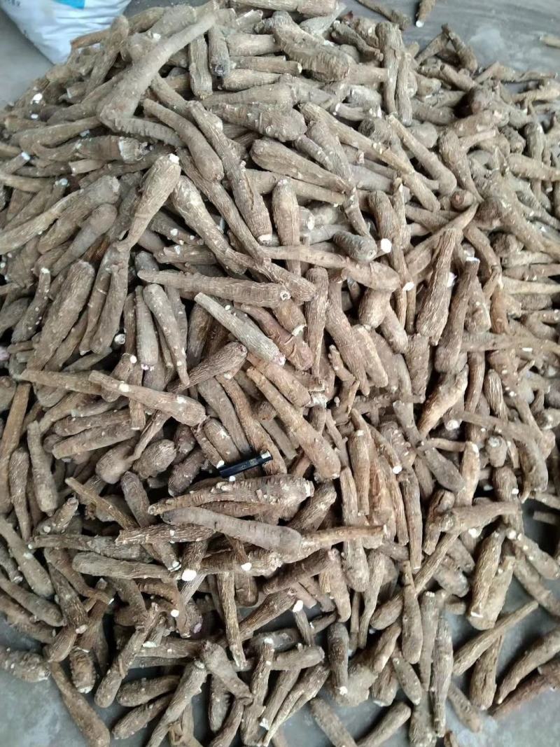 白芷白芷粉白芷个子白芷片白芷颗粒白芷可免费打粉