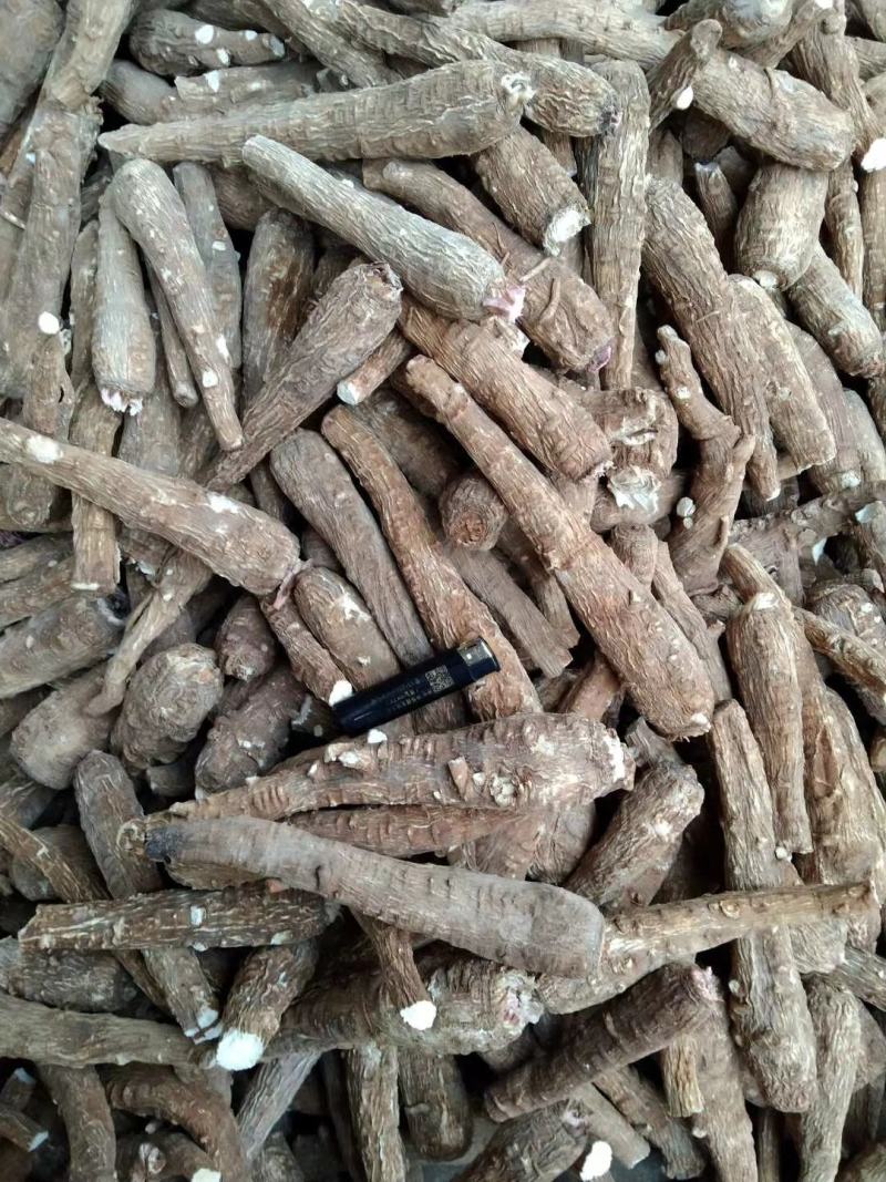 白芷白芷粉白芷个子白芷片白芷颗粒白芷可免费打粉