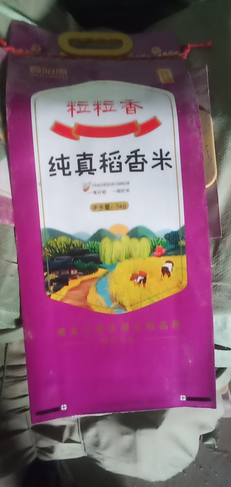 春阳惠牌大米基地直发口感好视频看货