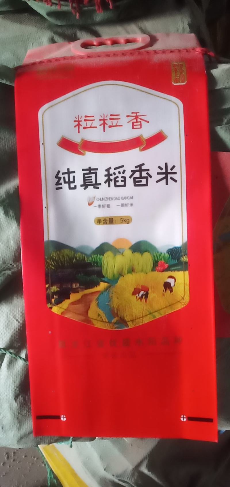 春阳惠牌大米基地直发口感好视频看货