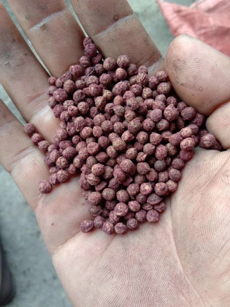 花椒粒水煮椒油椒各种花椒配料花椒打粉料泡脚料