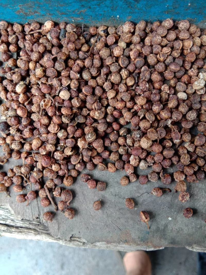 花椒粒水煮椒油椒各种花椒配料花椒打粉料泡脚料