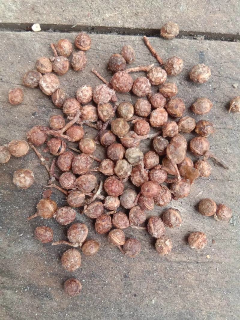 花椒粒水煮椒油椒各种花椒配料花椒打粉料泡脚料