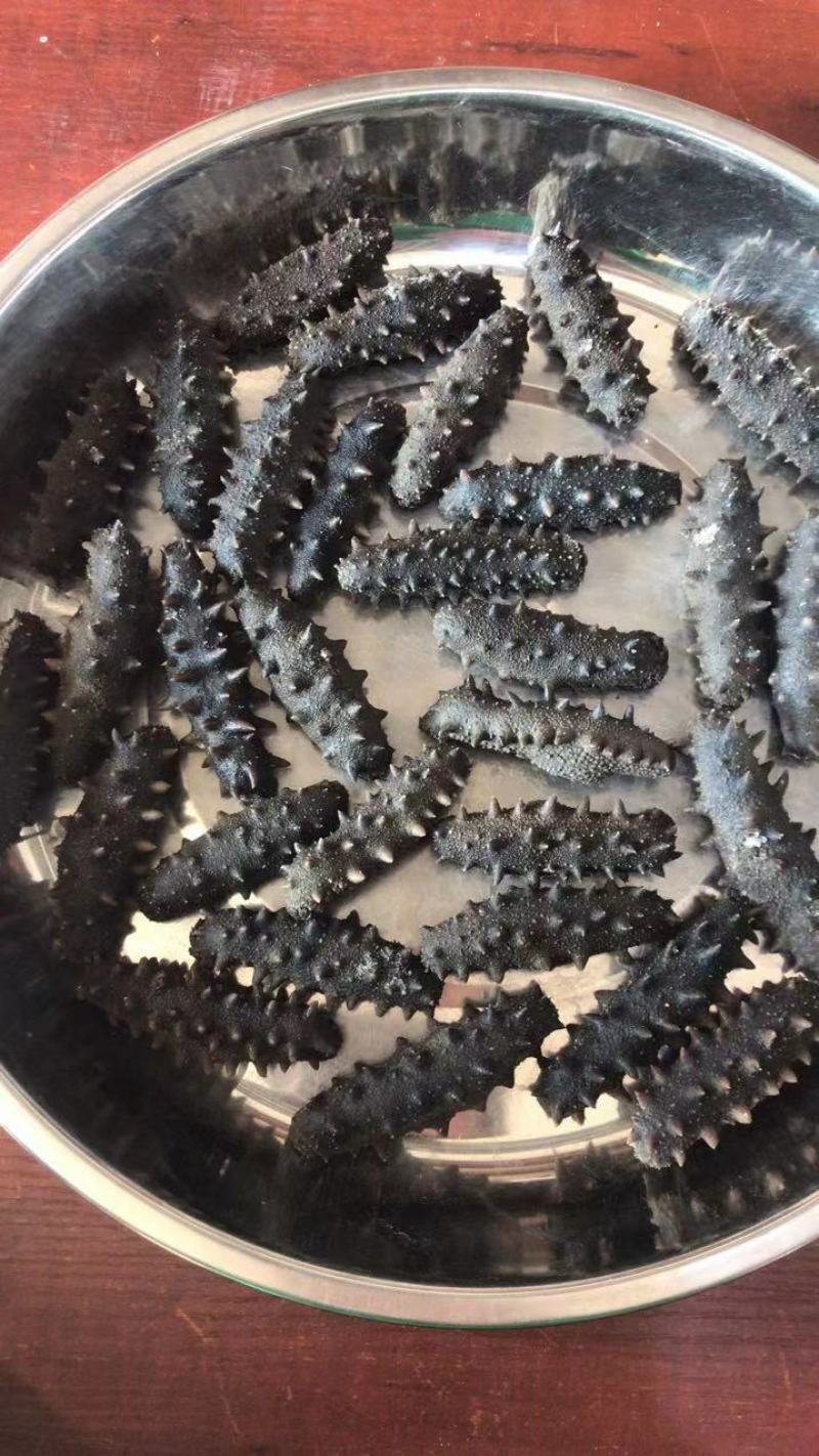 海参即食海参，半干海参，淡干海参，圈货海货都有
