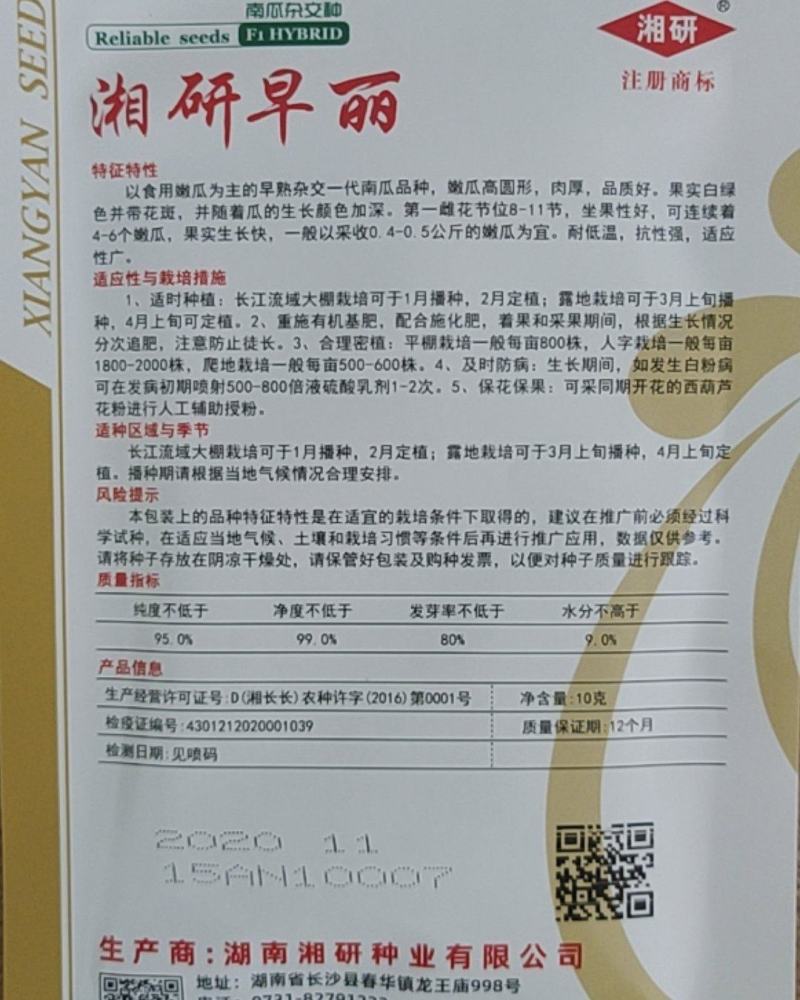 湘研早丽南瓜早熟食嫩瓜为主嫩瓜高圆形肉厚耐低温