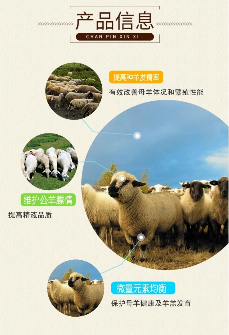 英美尔种羊预混料，繁殖羊专用预混料，提高发情受精率