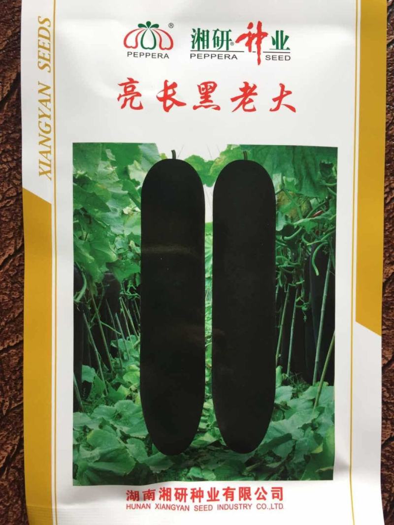 亮长黑老大墨绿色内腔小肉质密清香耐储运抗性强