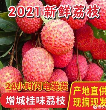 正宗增城荔枝鲜摘现发增城桂味果大皮薄核小爽甜