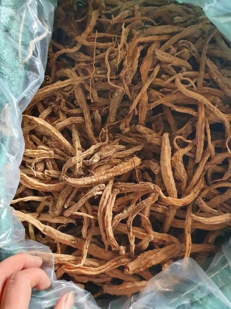 党参靓货，不是种植的。