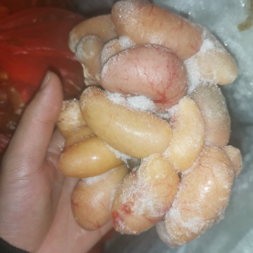 冰冻鸡春鸡腰子