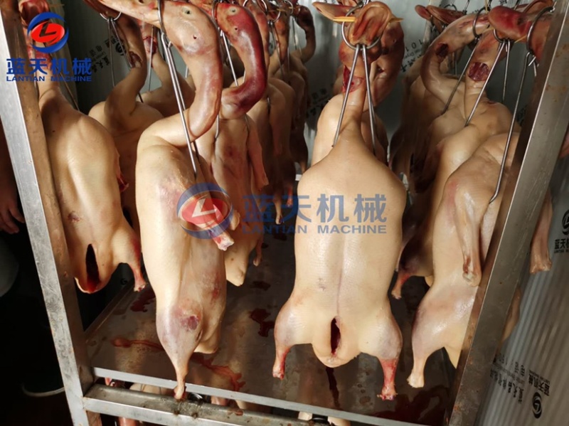 大型板鸭烘干机板鸭烘干房鸡腿烘干机肉制品烘干机设备