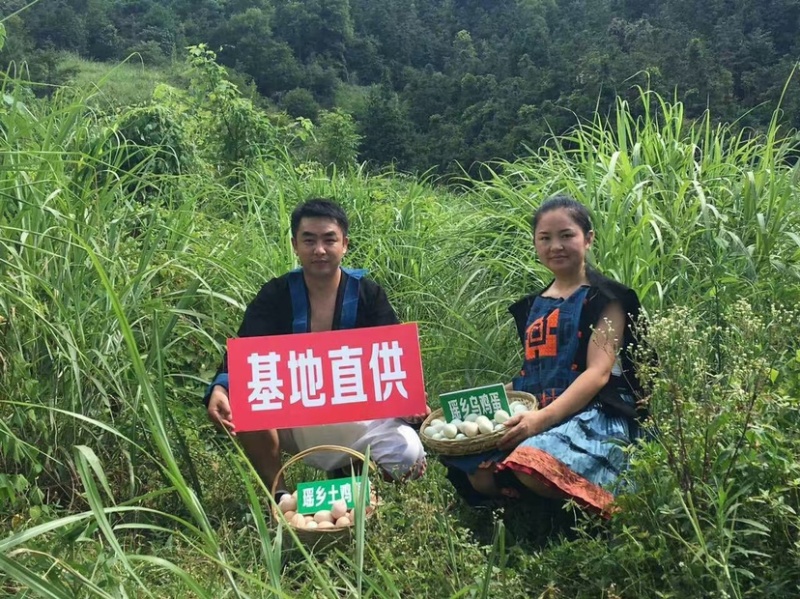 瑶鸡鸡蛋