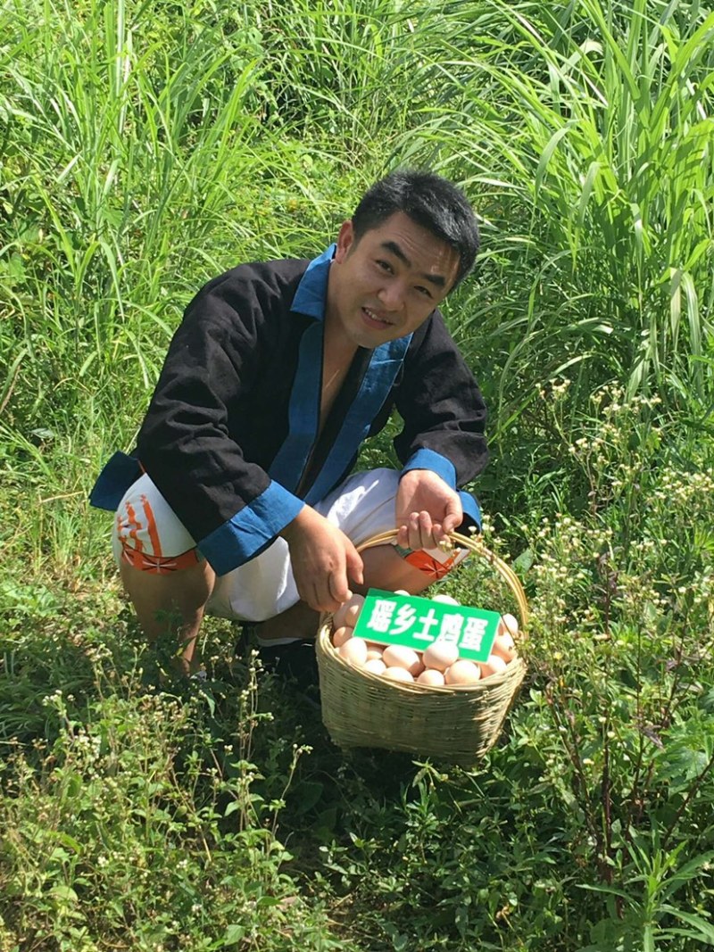 瑶鸡鸡蛋