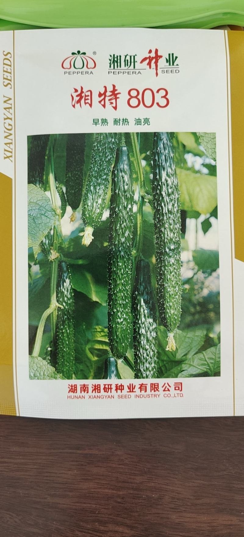 湘特803早熟油亮型耐热肉厚心腔小瓜身首尾匀