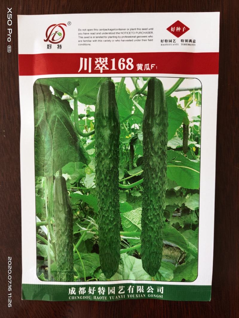 川翠168黄瓜种子早熟带腊粉耐热口感脆嫩抗病