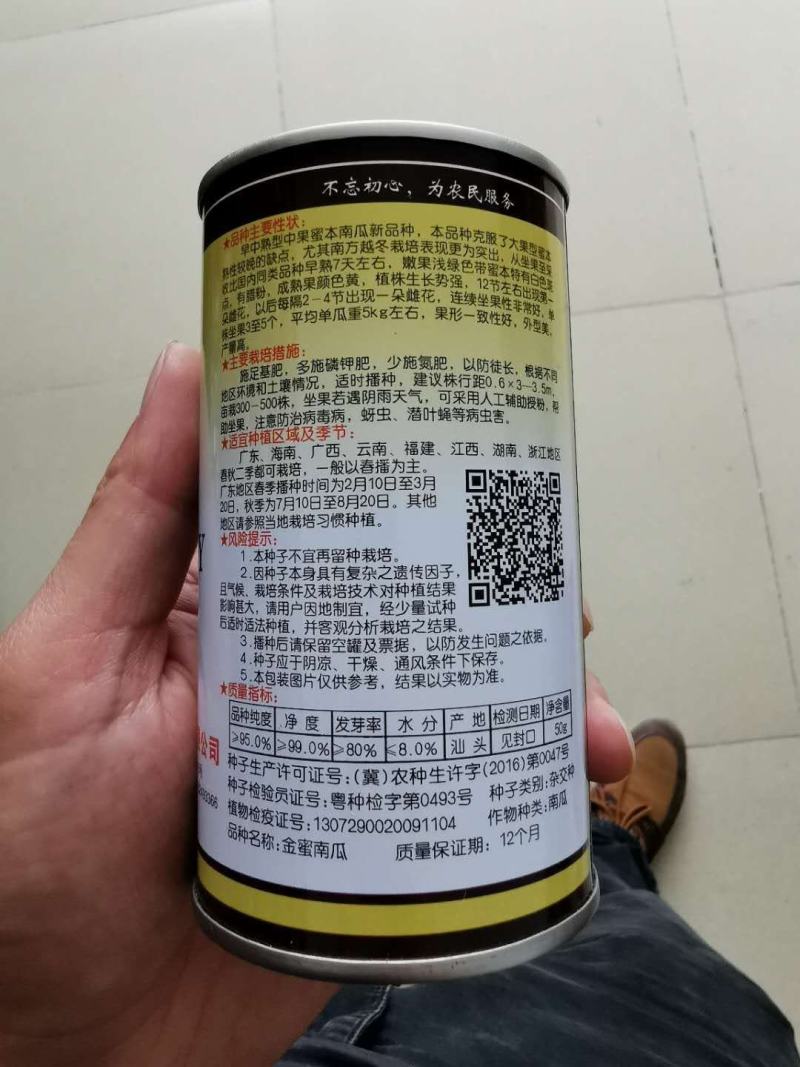 金蜜南瓜早中熟生长势强外形美观丰产