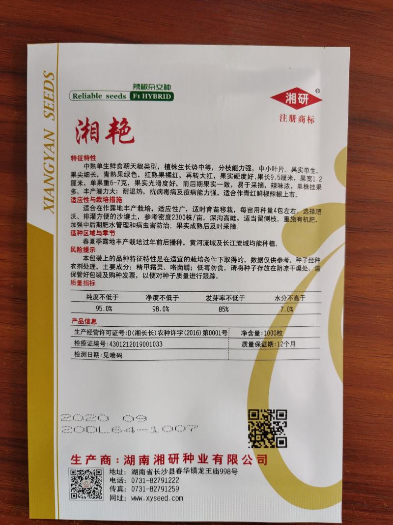 湘艳朝天椒中熟大果型抗病果实光泽硬度好