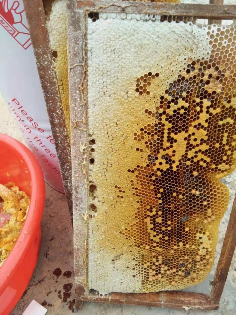 荔枝番薯蜂蜜。