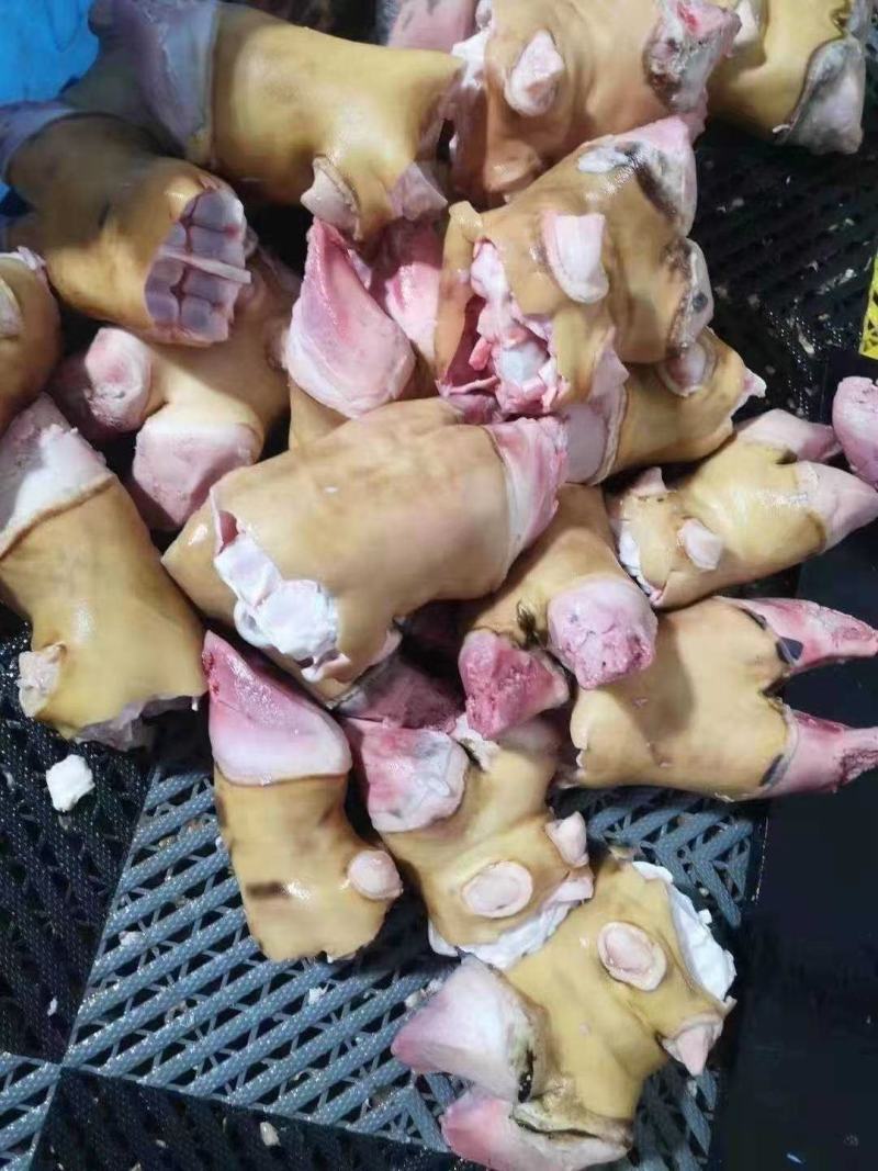 火烧去毛带骨牛蹄手加工作制作保质保量一手货源