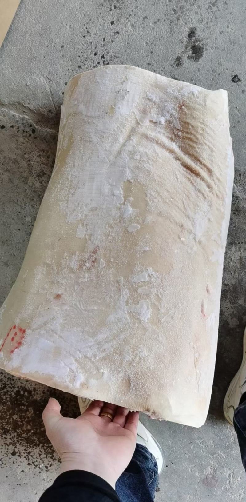 152墨西哥前段中段后段