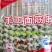 纯谷朊粉面筋串
