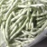 山东高密芸豆大量上市