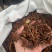 广西大红八角春花八角干枝八角黑八角各种货源应有尽有