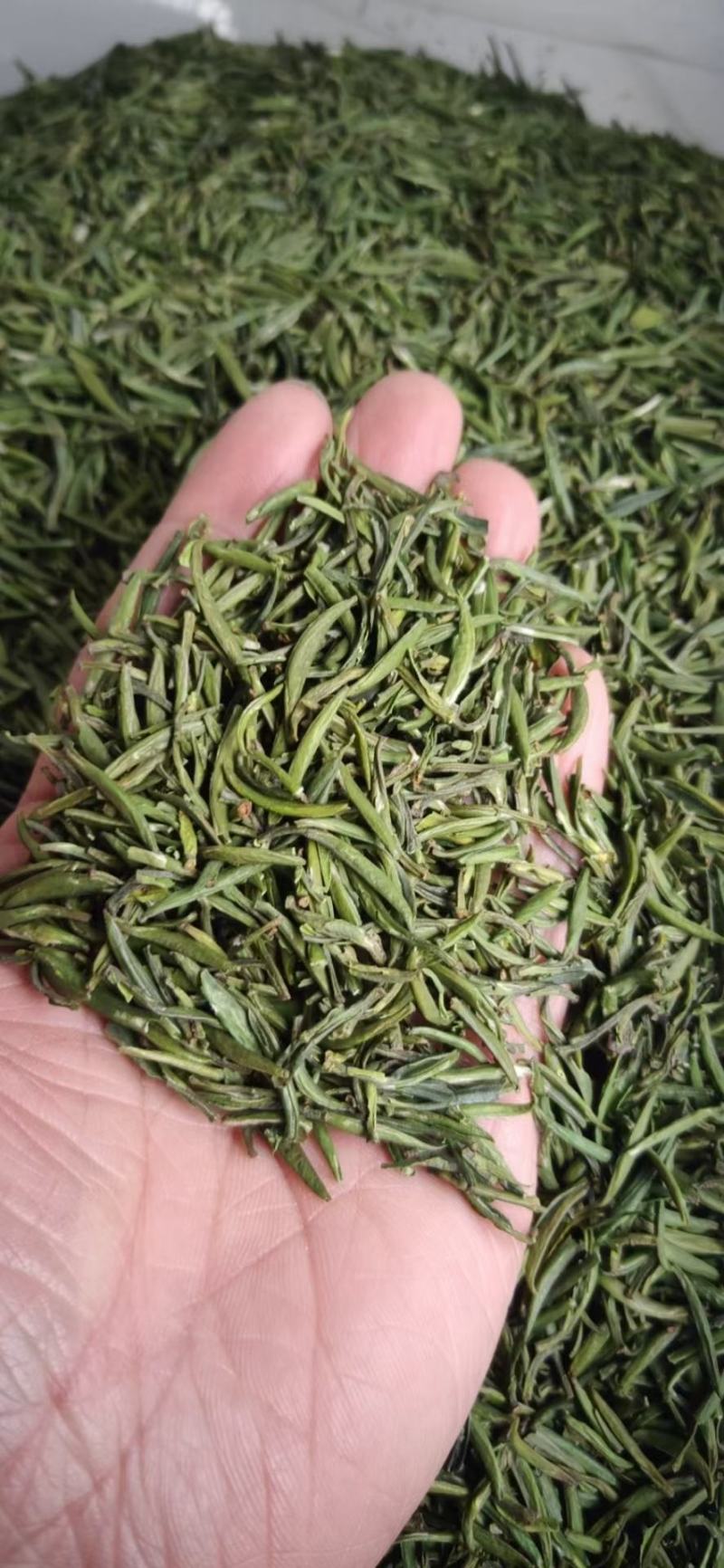 江山高山茶叶，各个档次都有，龙井，毛峰，绿牡丹，白茶
