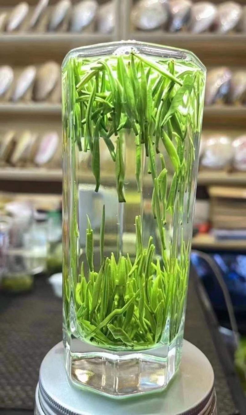 江山高山茶叶，各个档次都有，龙井，毛峰，绿牡丹，白茶