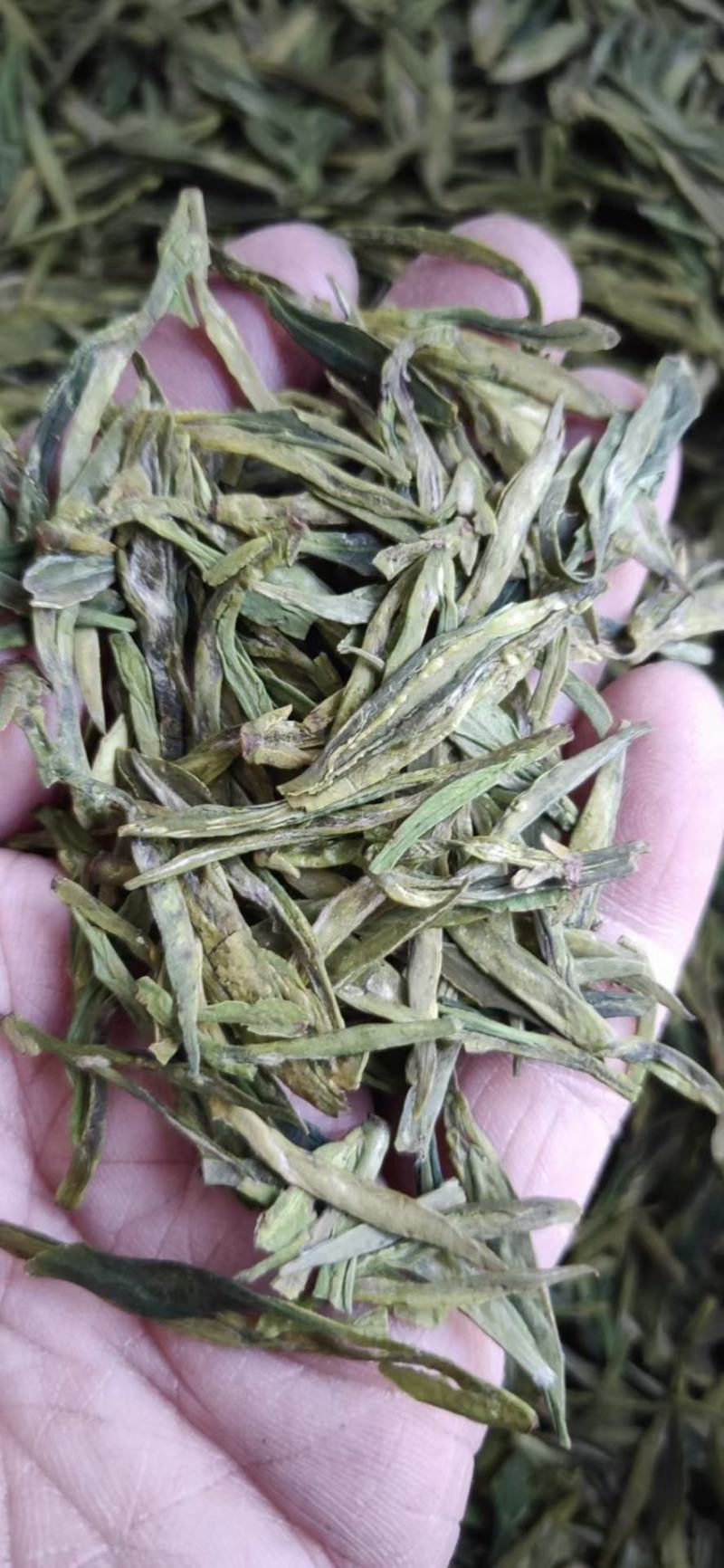 江山高山茶叶，各个档次都有，龙井，毛峰，绿牡丹，白茶