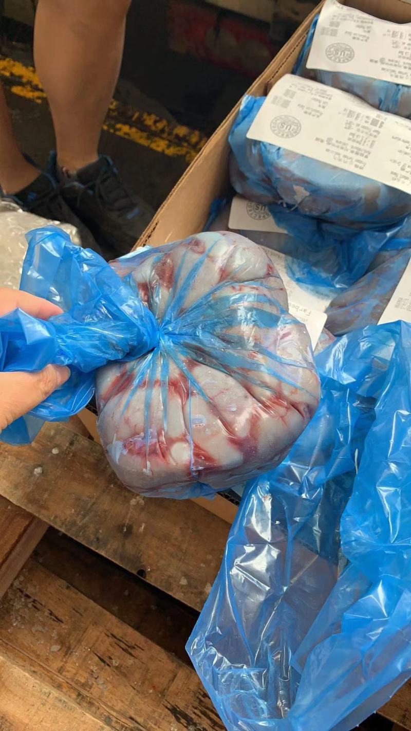 鸡腰子个头均匀货干大量批发