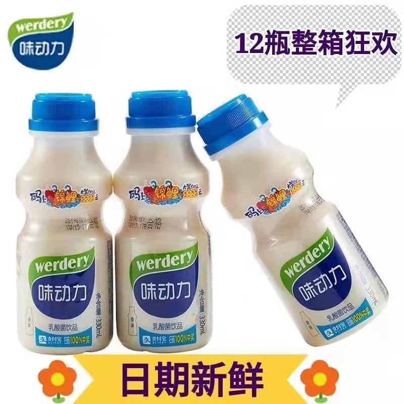 均瑶味动力乳酸菌饮330ml*12瓶酸奶整箱营养儿童早餐