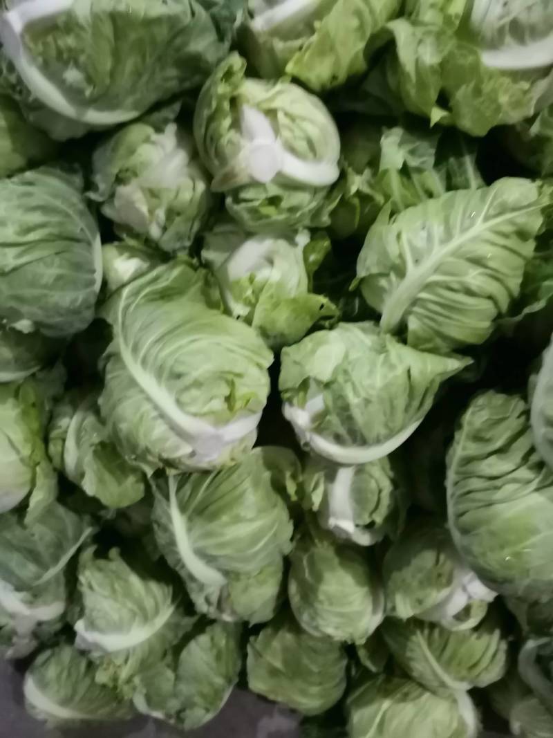 包菜，牛心包菜，叶片嫩绿，口感脆爽。需要的老板一亩田联系