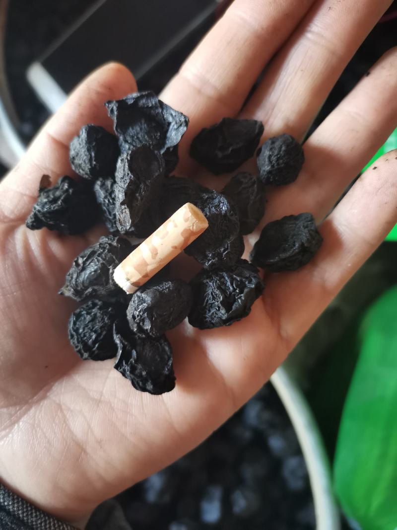 乌梅正品四川药用制乌梅烟熏乌梅规格齐全酸梅汤料
