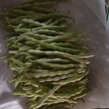 精品芸豆大量供应超市。市场小贩